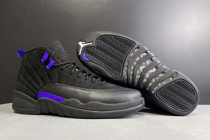 Air Jordan 12 “Dark Concord”  CT8013-005