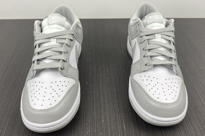 NIKE DUNK LOW RETRO DD1391-103