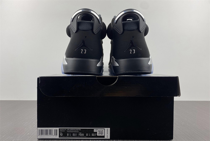 Air Jordan 6 “Metallic Silver”