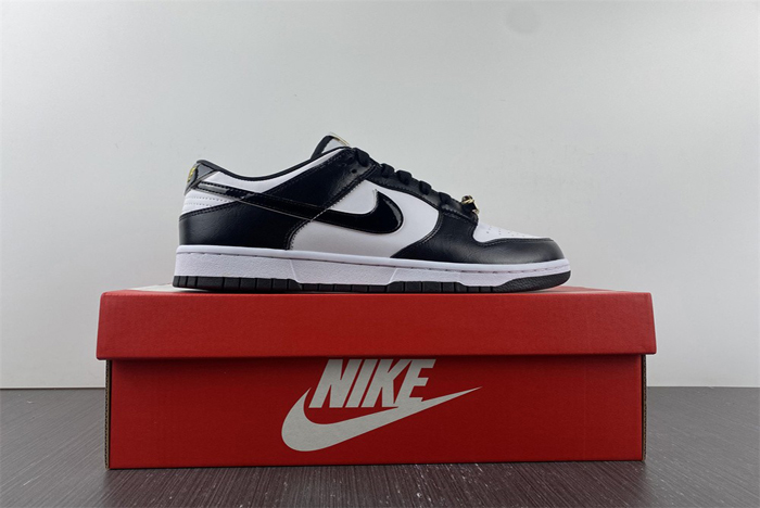 Nike Dunk Low “World Champ”   DR9511-100