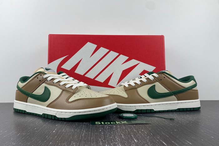 Nike Dunk Low Retro  FB7160-231