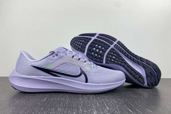 Nike Pegasus 40  DV3853-500